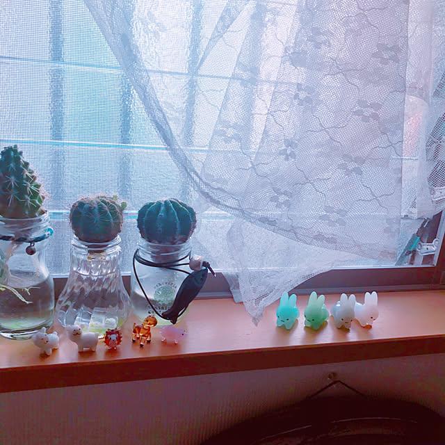 portulacaさんの実例写真