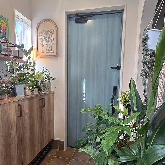 nonbiri_house_さんの部屋