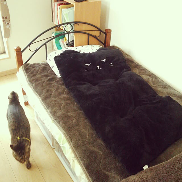 Hinataさんの実例写真