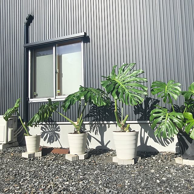 Rubiconさんの部屋