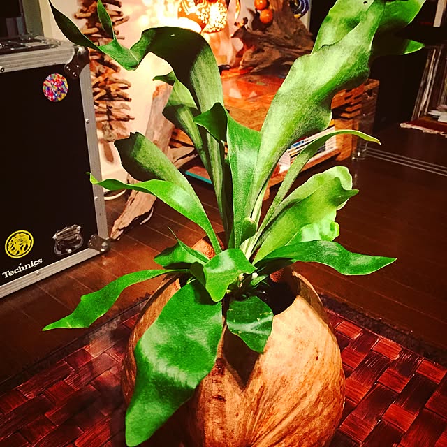 montaさんの実例写真