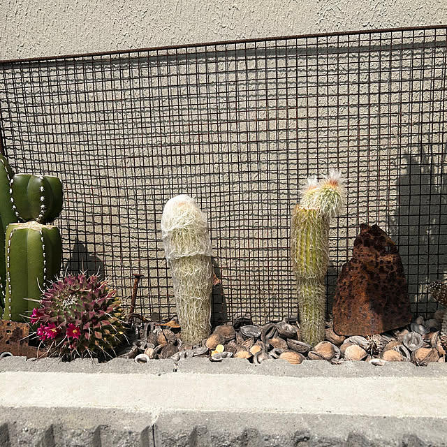 asさんの実例写真