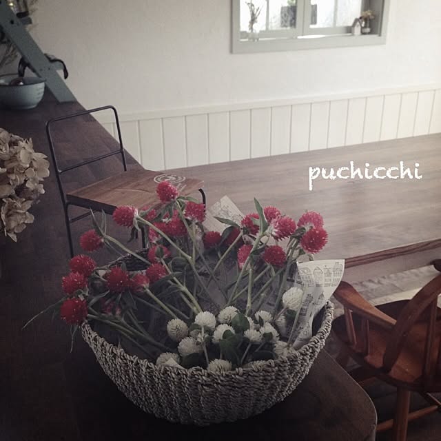 puchicchiさんの実例写真