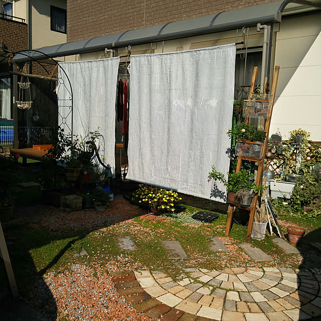shushさんの実例写真