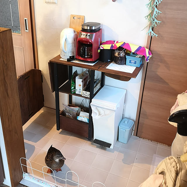 akiさんの実例写真