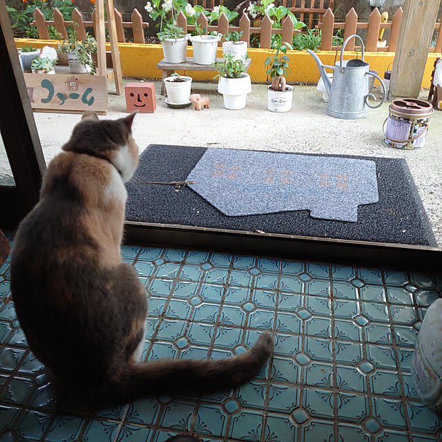 fukuさんの実例写真