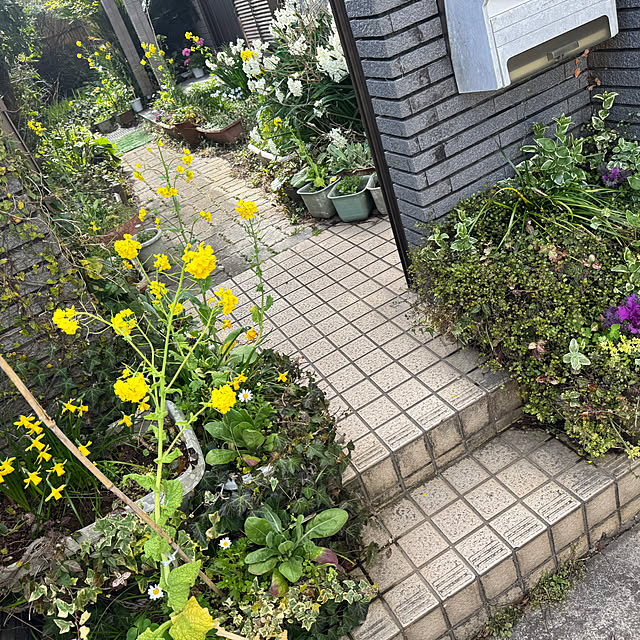 kimiさんの実例写真