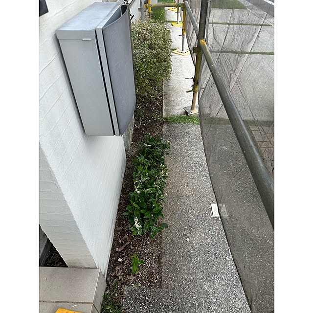 nono.0129さんの実例写真