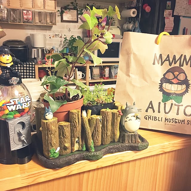makoriさんの実例写真