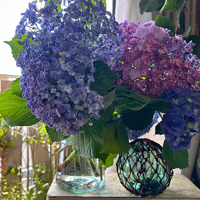ベッド周り/紫陽花　おたふくのインテリア実例 - 2024-06-11 15:34:36