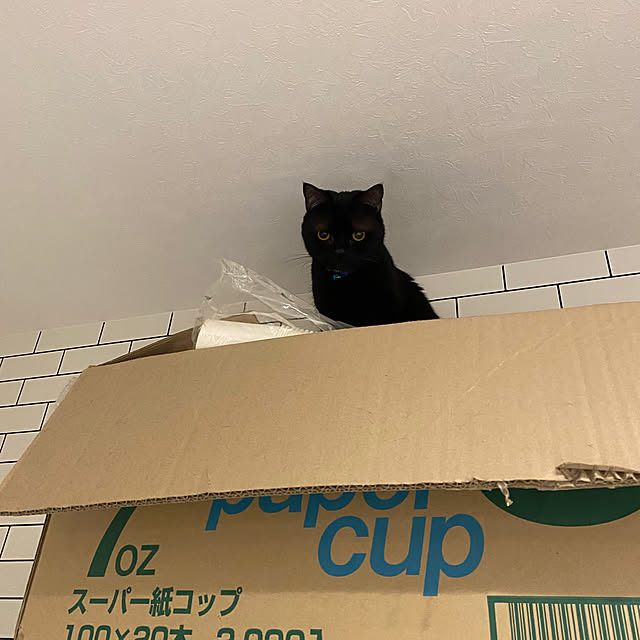 okapiさんの部屋