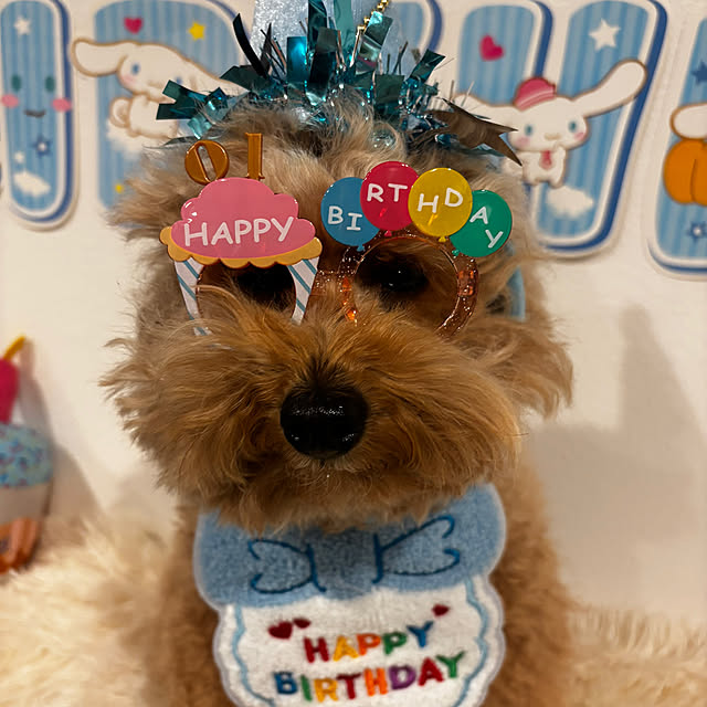 bonjiri0824さんの実例写真