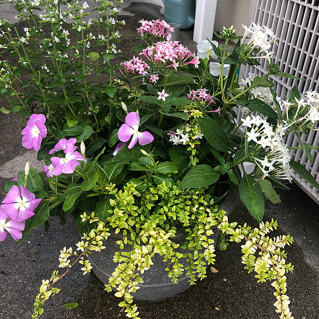 leepo5さんの部屋