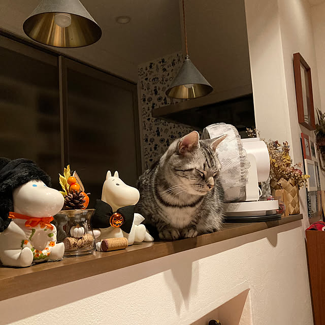 mkmkmoominさんの部屋