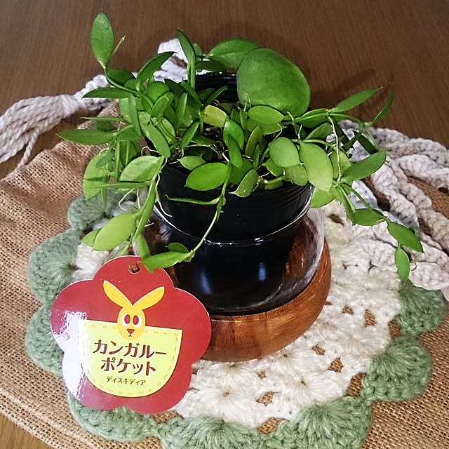 yellowflowerさんの実例写真