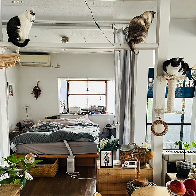 a.f.さんの実例写真