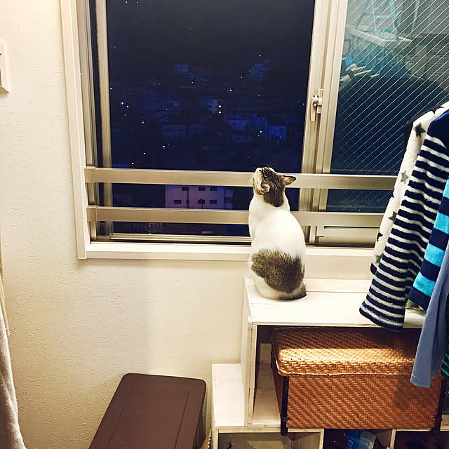 Youさんの実例写真