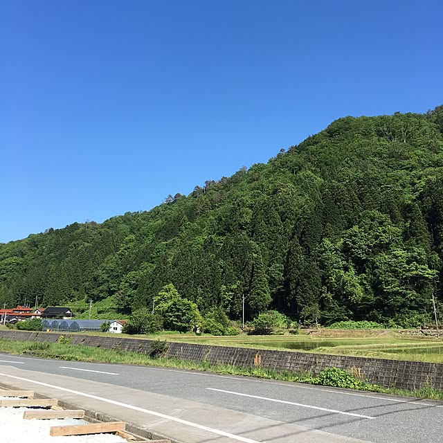 実例写真