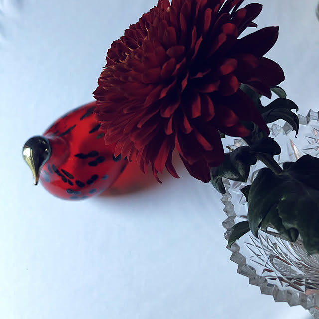 chacoさんの実例写真