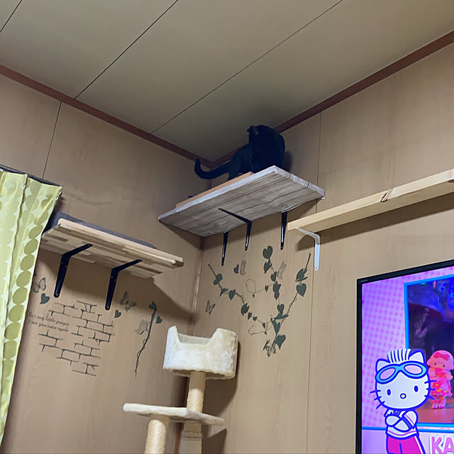 yochiさんの実例写真