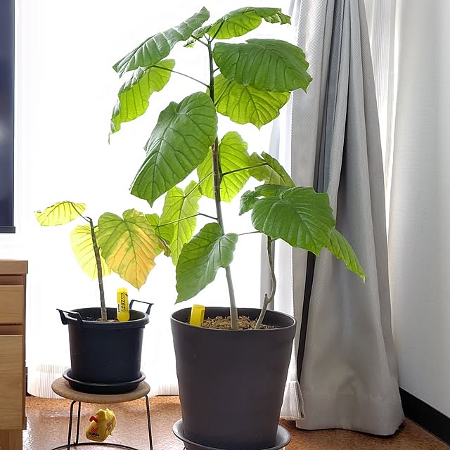 akichiさんの部屋