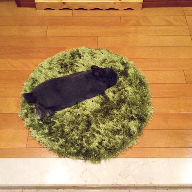 mamisazさんの実例写真
