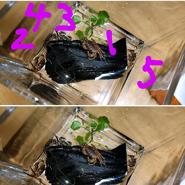kan1856さんの実例写真