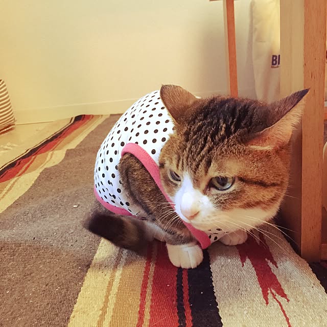 neopipeさんの実例写真