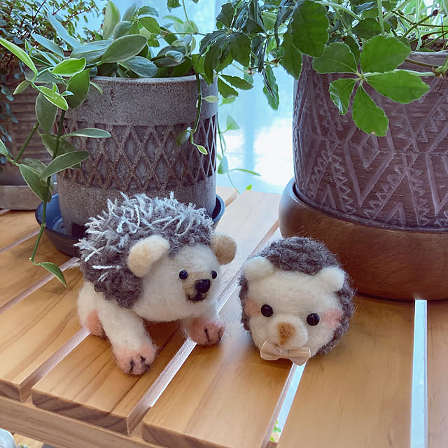 ha_ru76さんの部屋