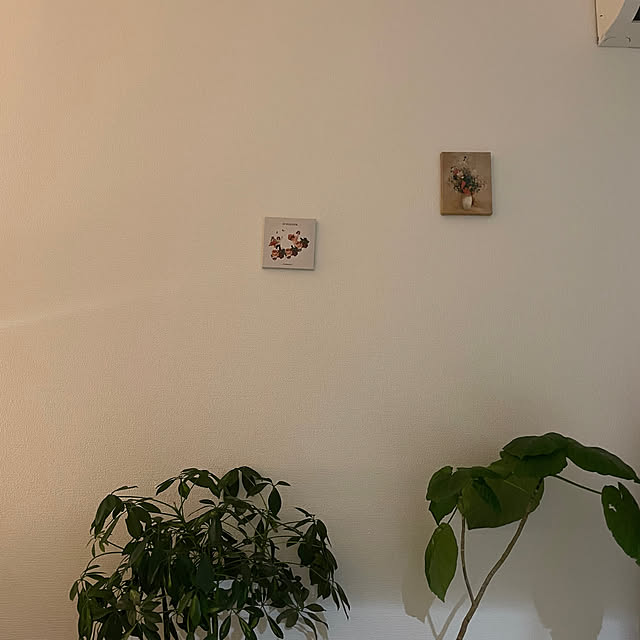 Mikaさんの実例写真