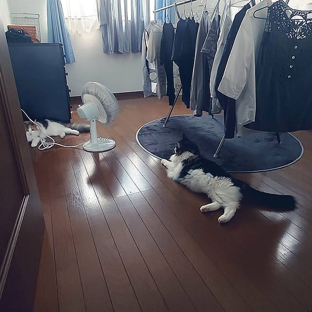 +CHIHARU+さんの実例写真