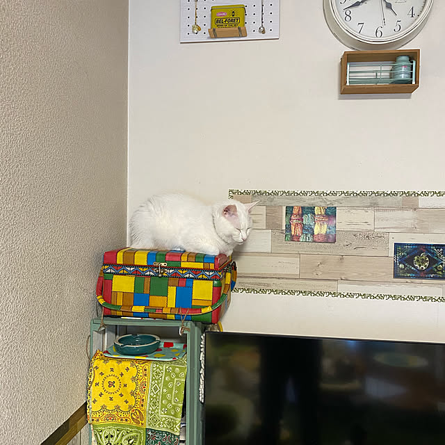 SHIHOさんの実例写真