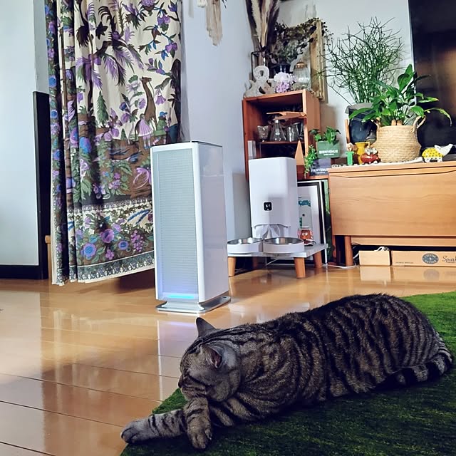 hiro3さんの実例写真