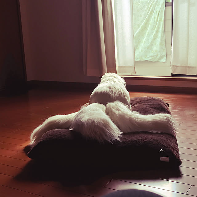 mer_le_noirさんの実例写真