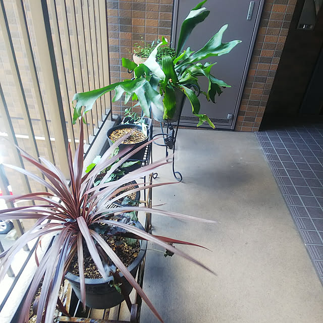 n0516さんの実例写真
