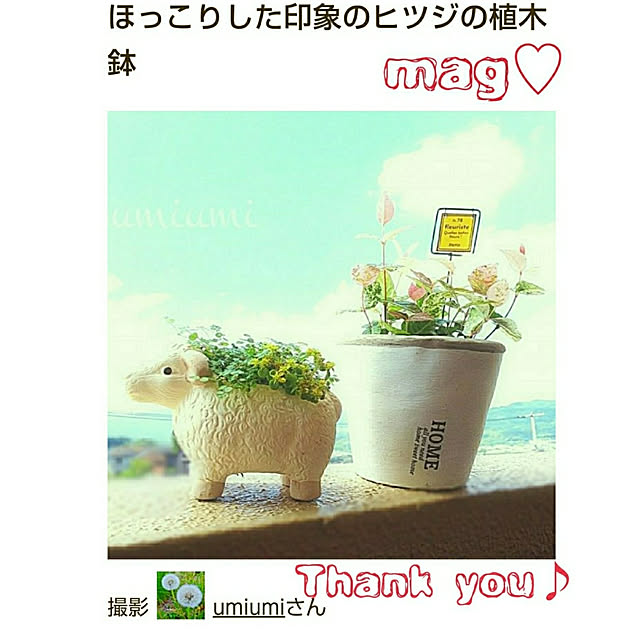 umiumiさんの実例写真