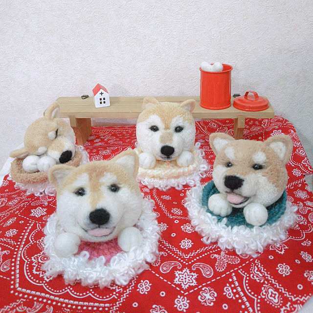 Kazuさんの実例写真