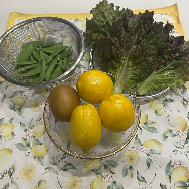 banbinaさんの実例写真