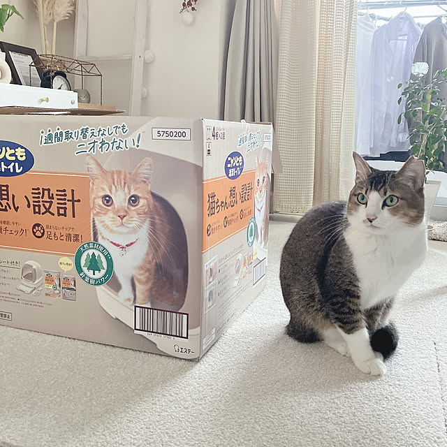 nekomiさんの実例写真