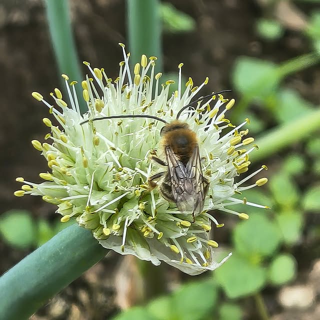 Rubiconさんの実例写真