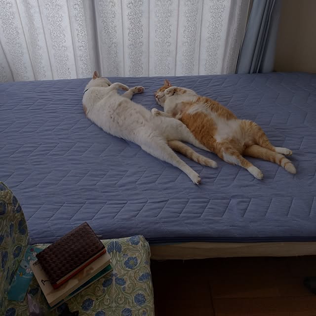 NOAHさんの部屋