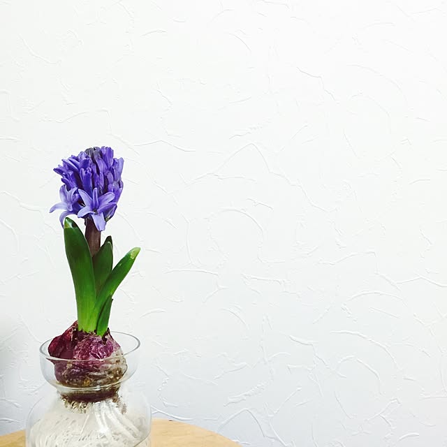 kunicoさんの実例写真