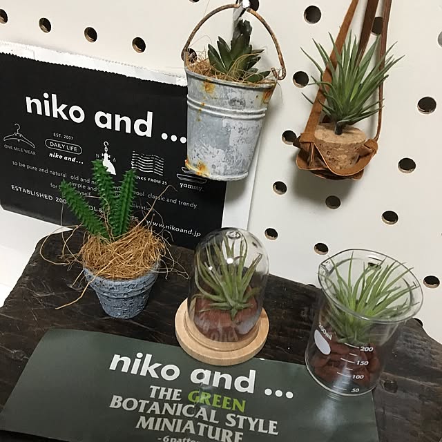rk5kuuさんの実例写真
