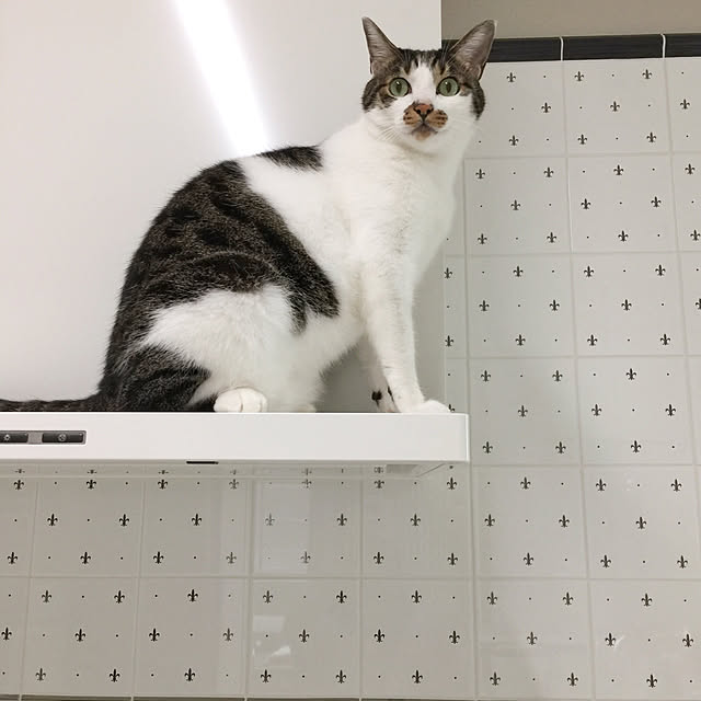 yuchiさんの実例写真