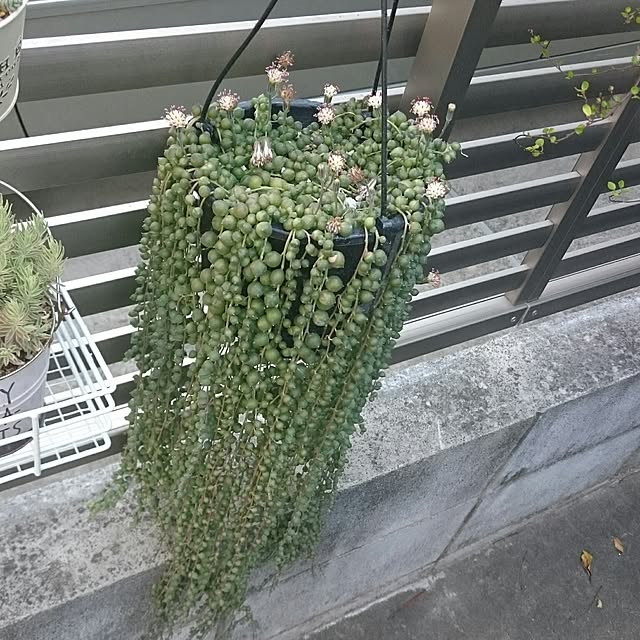 hideさんの実例写真