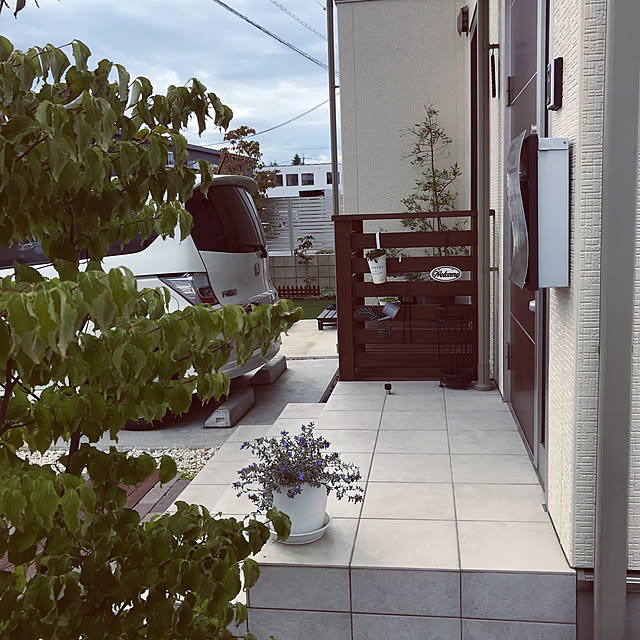 lilyさんの実例写真