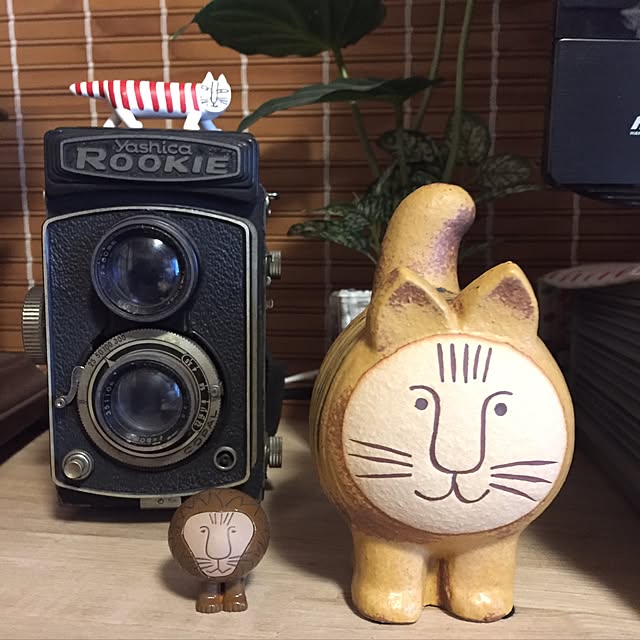 yocchiさんの実例写真