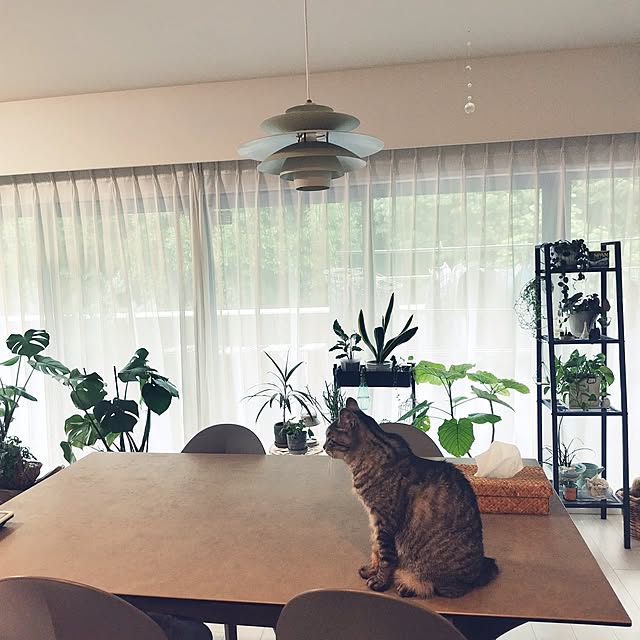 miumiuさんの実例写真