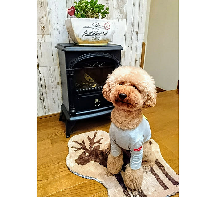 MARONさんの実例写真