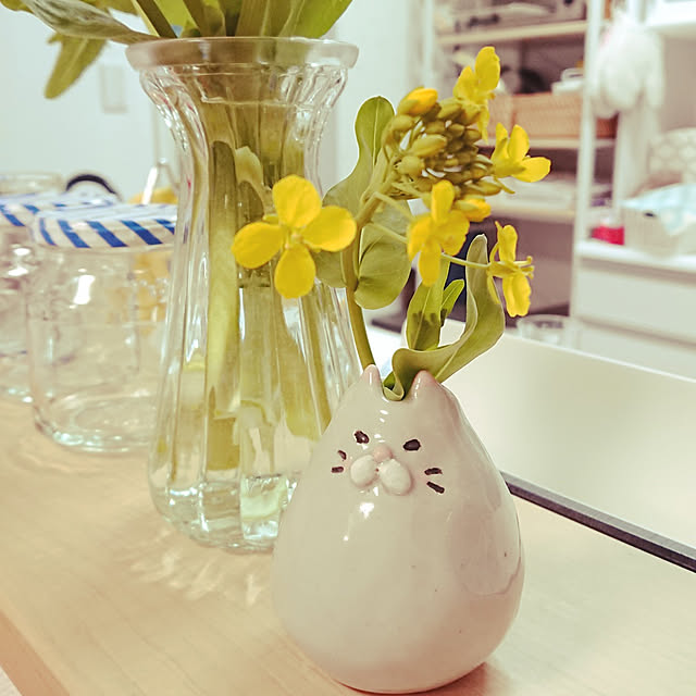 キッチン/チンゲン菜の花/菜の花/ナチュラル/手作り雑貨...などのインテリア実例 - 2022-03-24 18:32:55